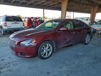  Salvage Nissan Maxima