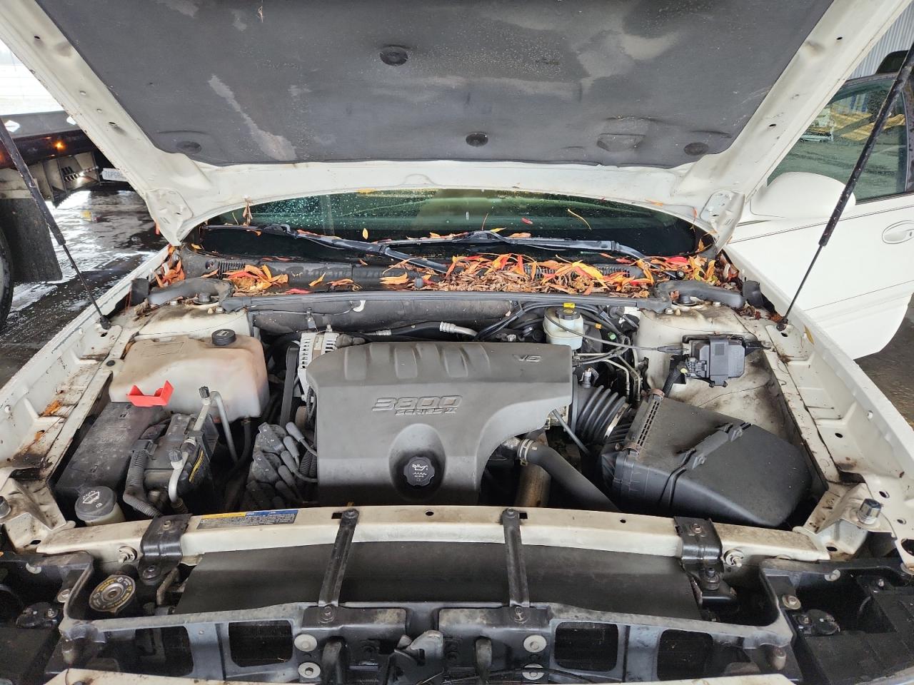 Buick LeSabre Custom Image 8