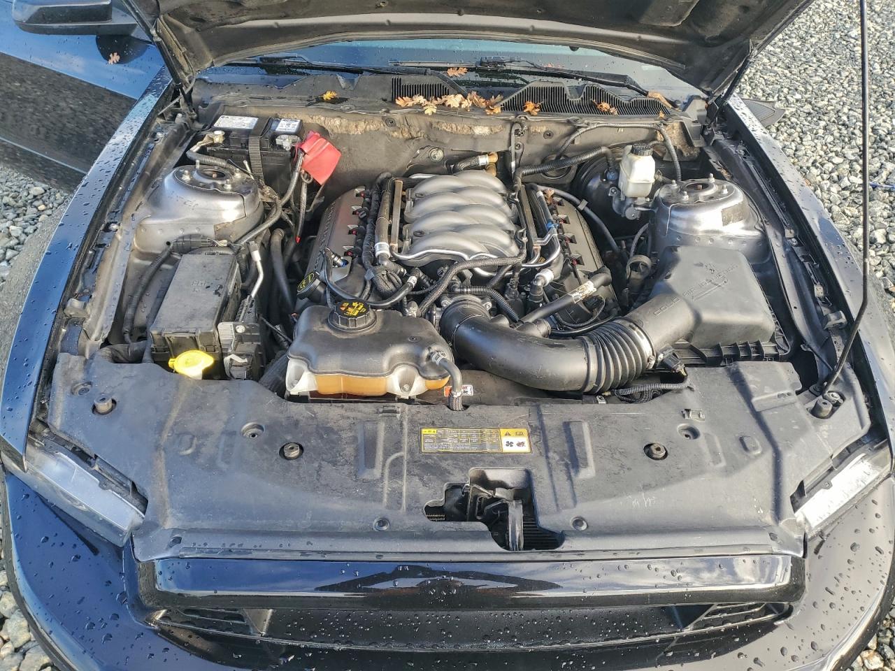 Ford Mustang Gt Image 3