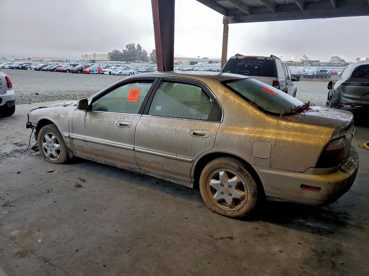 Honda Accord Ex Image 2