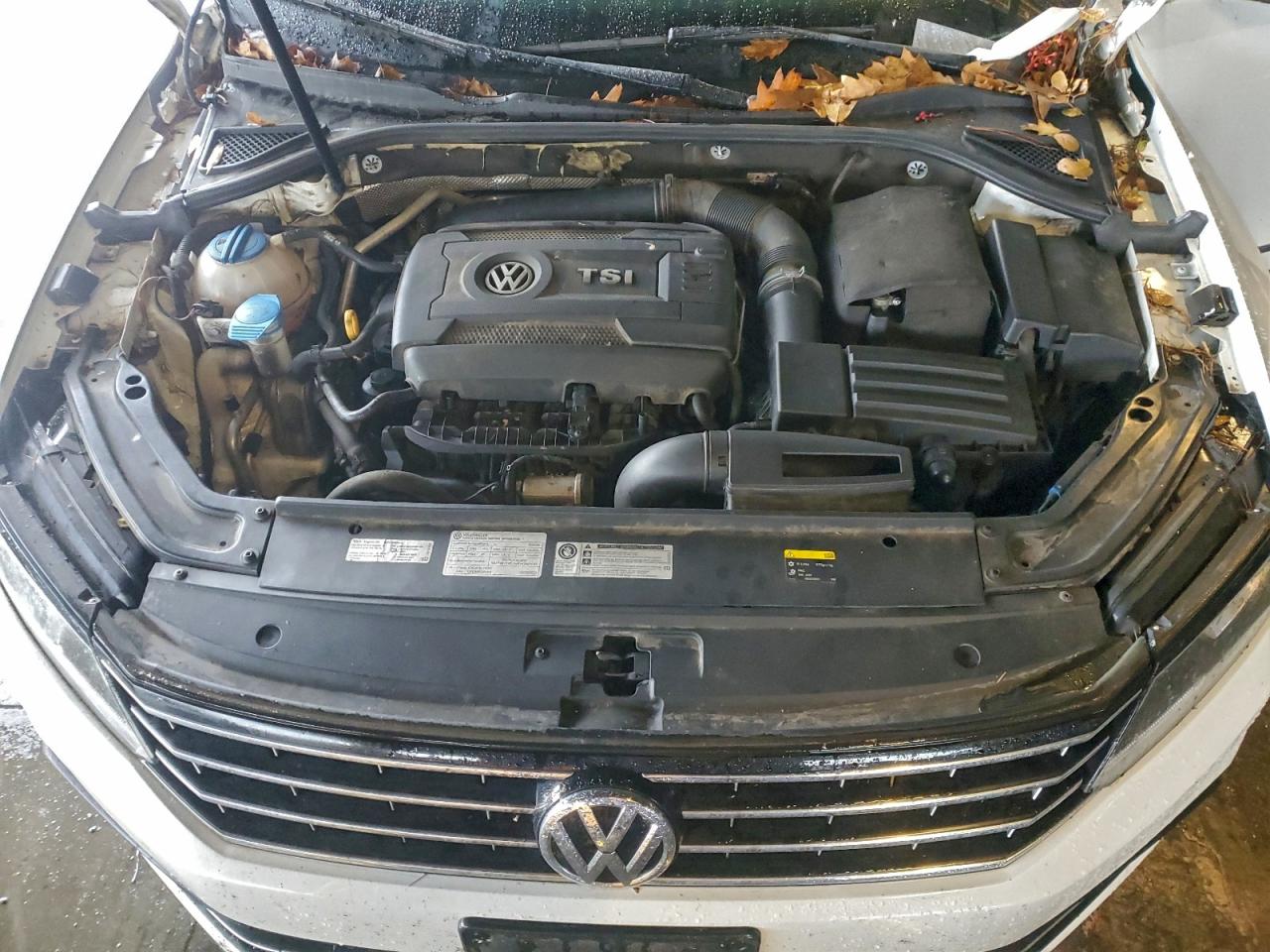 Volkswagen Passat S Image 12