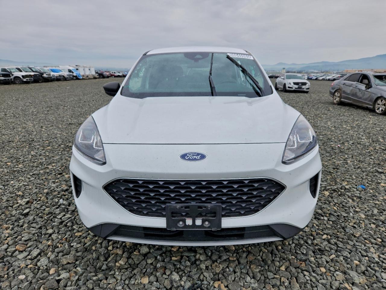 Ford Escape Se Image 8