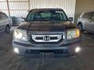Honda Pilot Exl Image 4