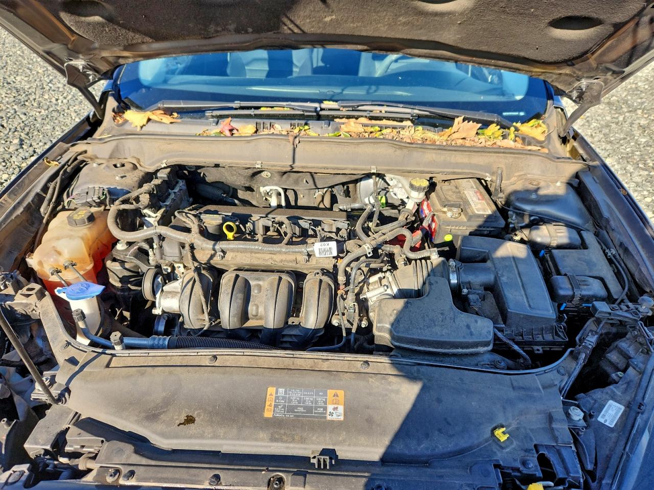 Ford Fusion Se Image 11