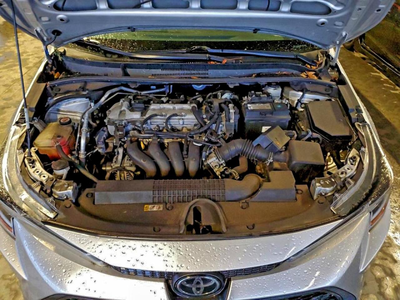 Toyota Corolla Le Image 6