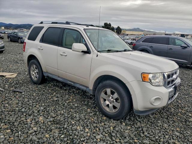 Ford Escape Limited Image 10