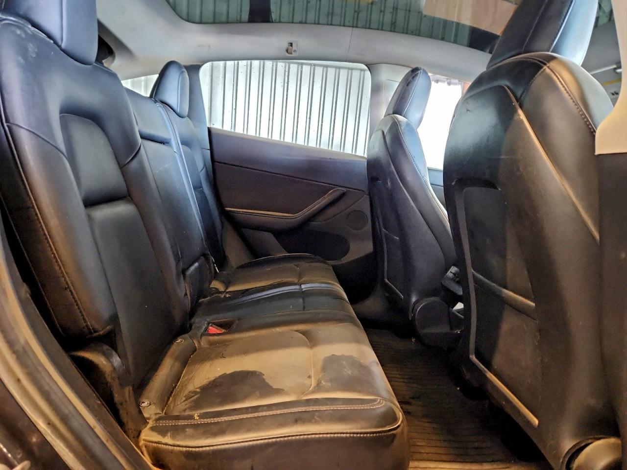 Tesla Model Y Image 5